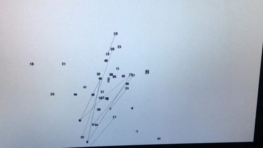 Mutations on a Gene regulatory network - Diode Zone